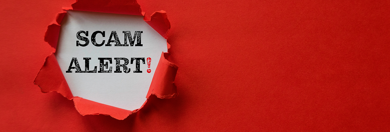 Beware the SEO Scam: Why Emails Like This Are Too Good to Be True